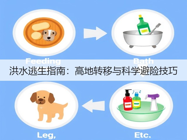 洪水逃生指南:高地转移与科学避险技巧(图1) 洪水逃生指南:高地转移与科学避险技巧(图1)