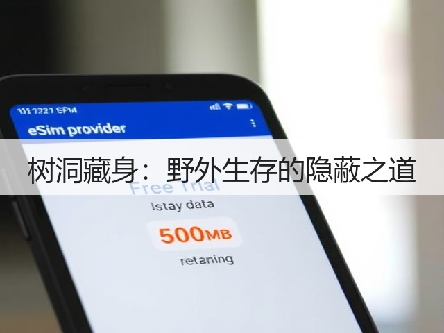 树洞藏身:野外生存的隐蔽之道(图2) 树洞藏身:野外生存的隐蔽之道(图2)