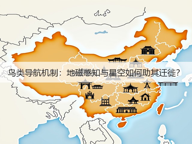 鸟类导航机制:地磁感知与星空如何助其迁徙?(图3) 鸟类导航机制:地磁感知与星空如何助其迁徙?(图3)