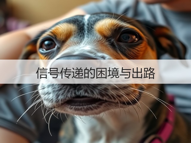信号传递的困境与出路(图2)