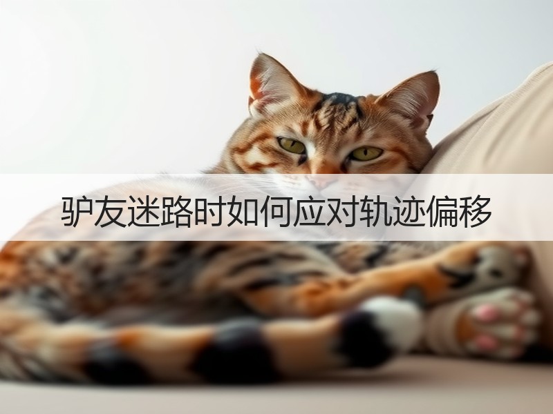 驴友迷路时如何应对轨迹偏移