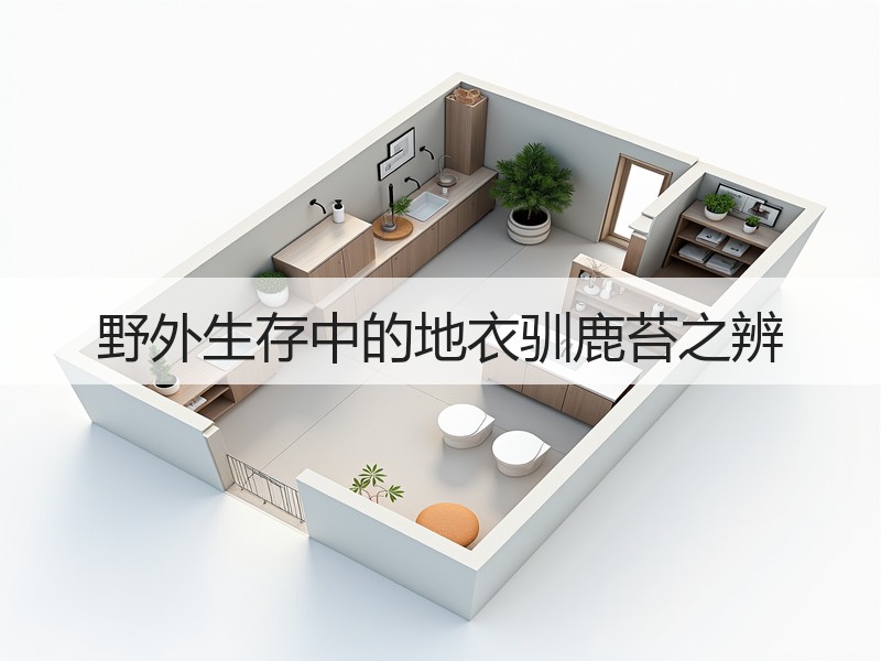 野外生存中的地衣驯鹿苔之辨
