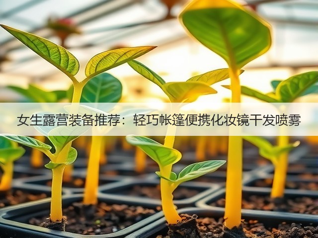 女生露营装备推荐:轻巧帐篷便携化妆镜干发喷雾(图2) 女生露营装备推荐:轻巧帐篷便携化妆镜干发喷雾(图2)