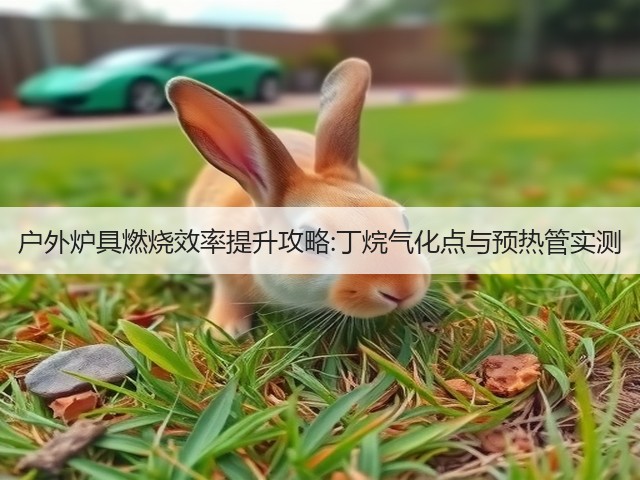 户外炉具燃烧效率提升攻略:丁烷气化点与预热管实测(图3) 户外炉具燃烧效率提升攻略:丁烷气化点与预热管实测(图3)