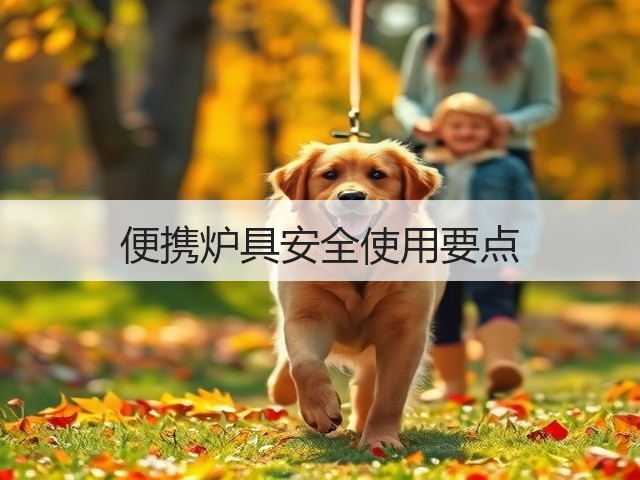 便携炉具安全使用要点(图3) 便携炉具安全使用要点(图3)