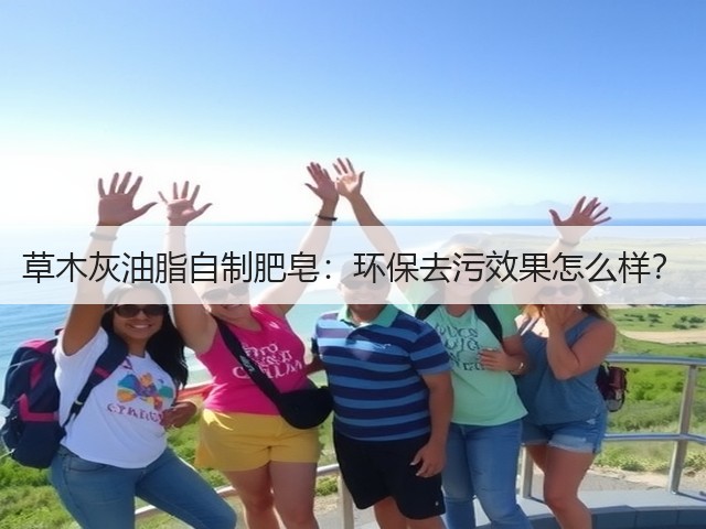 草木灰油脂自制肥皂:环保去污效果怎么样?(图2) 草木灰油脂自制肥皂:环保去污效果怎么样?(图2)