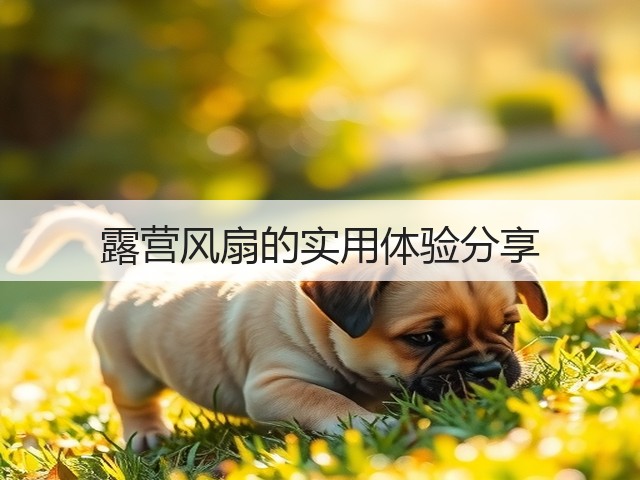 露营风扇的实用体验分享(图1) 露营风扇的实用体验分享(图1)
