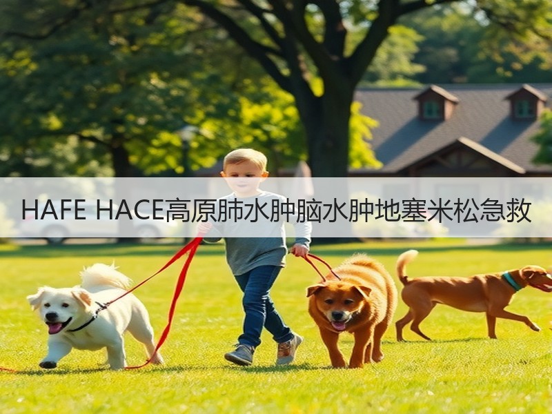 HAFE HACE高原肺水肿脑水肿地塞米松急救