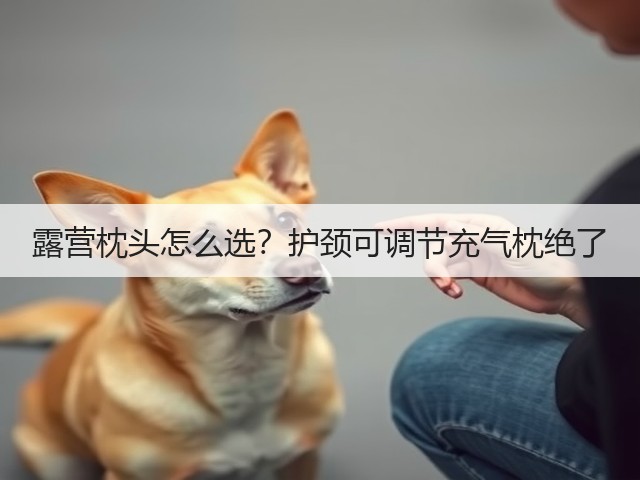 露营枕头怎么选?护颈可调节充气枕绝了(图1) 露营枕头怎么选?护颈可调节充气枕绝了(图1)