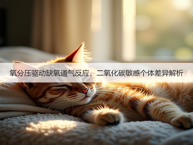 氧分压驱动缺氧通气反应,二氧化碳敏感个体差异解析(图1) 氧分压驱动缺氧通气反应,二氧化碳敏感个体差异解析(图1)