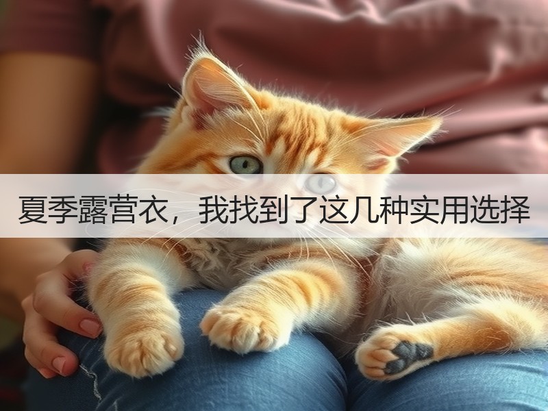 夏季露营衣，我找到了这几种实用选择