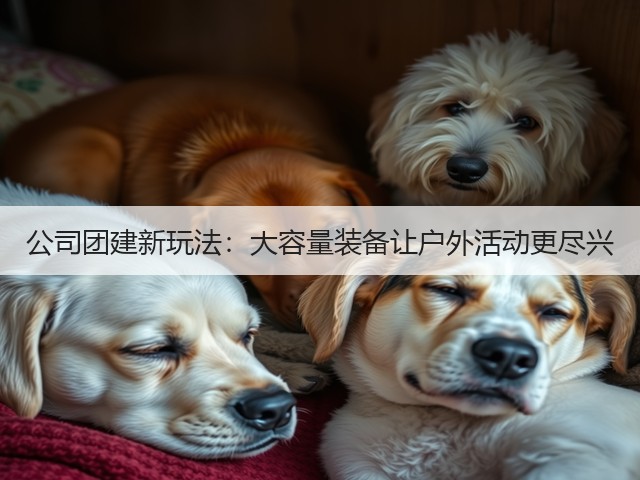 公司团建新玩法:大容量装备让户外活动更尽兴(图2) 公司团建新玩法:大容量装备让户外活动更尽兴(图2)