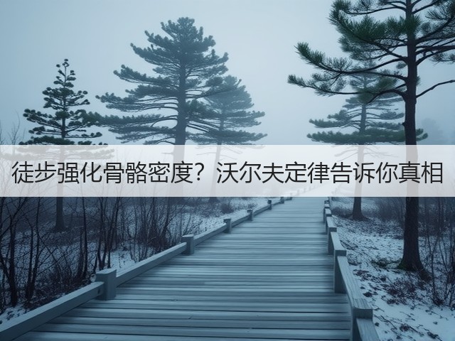 徒步强化骨骼密度?沃尔夫定律告诉你真相(图1) 徒步强化骨骼密度?沃尔夫定律告诉你真相(图1)