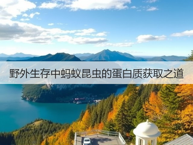 野外生存中蚂蚁昆虫的蛋白质获取之道(图2) 野外生存中蚂蚁昆虫的蛋白质获取之道(图2)
