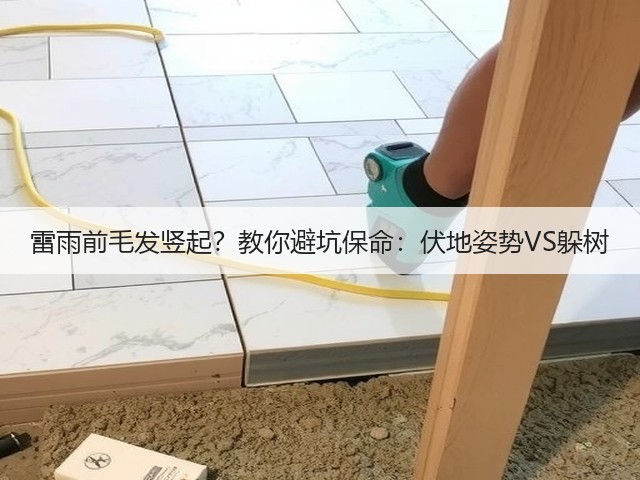 雷雨前毛发竖起?教你避坑保命:伏地姿势VS躲树(图2) 雷雨前毛发竖起?教你避坑保命:伏地姿势VS躲树(图2)