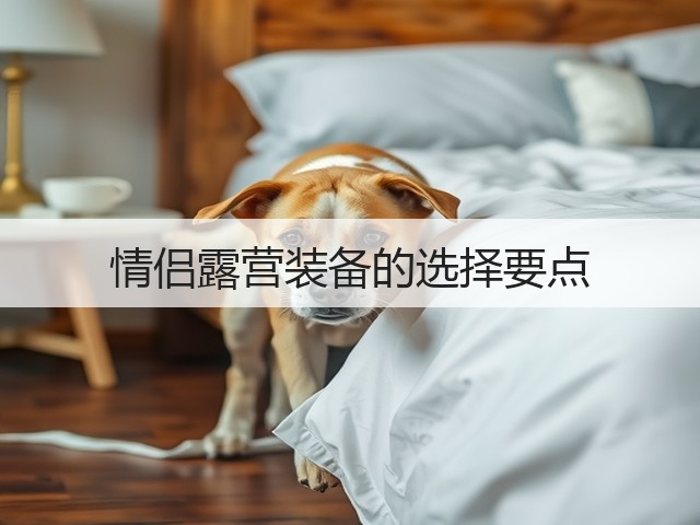 情侣露营装备的选择要点(图3) 情侣露营装备的选择要点(图3)