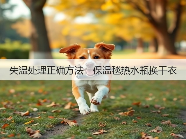失温处理正确方法:保温毯热水瓶换干衣(图3) 失温处理正确方法:保温毯热水瓶换干衣(图3)