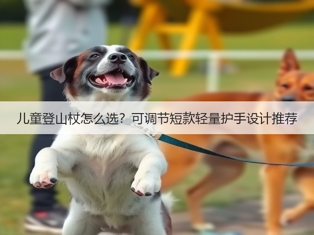 儿童登山杖怎么选?可调节短款轻量护手设计推荐(图2) 儿童登山杖怎么选?可调节短款轻量护手设计推荐(图2)