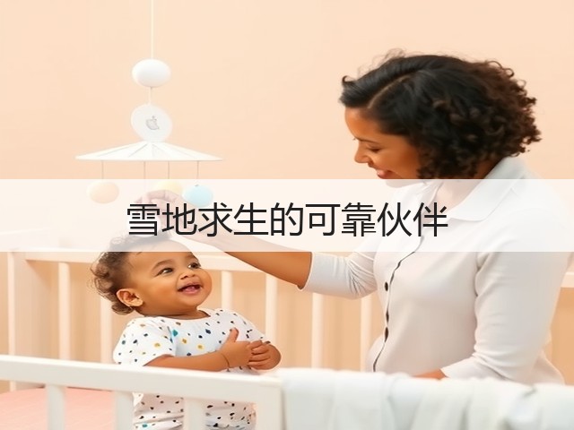 雪地求生的可靠伙伴(图2) 雪地求生的可靠伙伴(图2)
