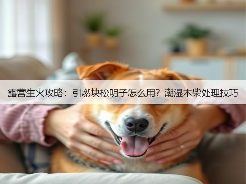 露营生火攻略：引燃块松明子怎么用？潮湿木柴处理技巧