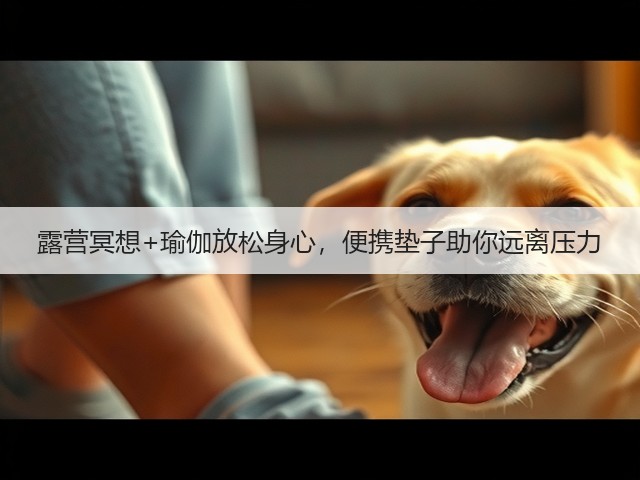 露营冥想+瑜伽放松身心,便携垫子助你远离压力(图1) 露营冥想+瑜伽放松身心,便携垫子助你远离压力(图1)