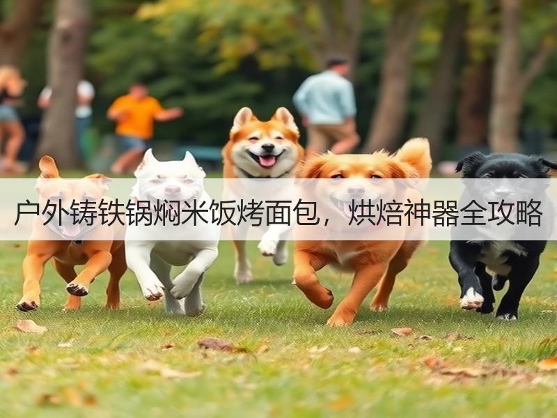 户外铸铁锅焖米饭烤面包，烘焙神器全攻略