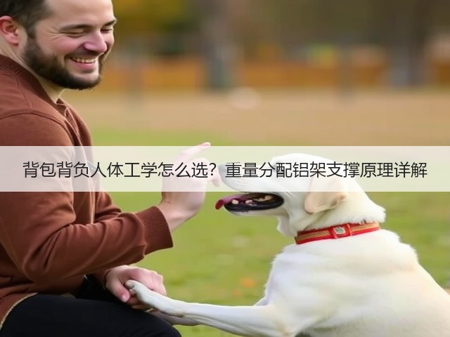 背包背负人体工学怎么选?重量分配铝架支撑原理详解(图3) 背包背负人体工学怎么选?重量分配铝架支撑原理详解(图3)