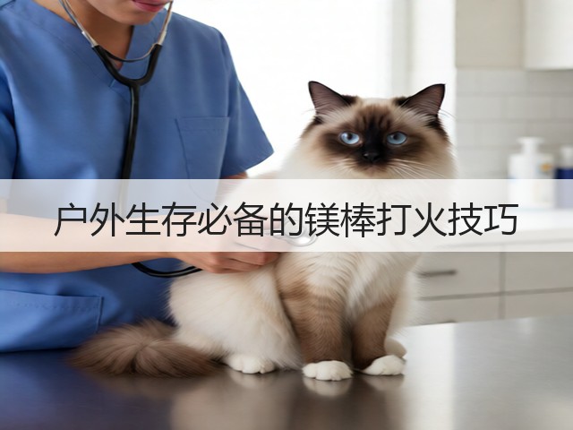 户外生存必备的镁棒打火技巧(图2) 户外生存必备的镁棒打火技巧(图2)