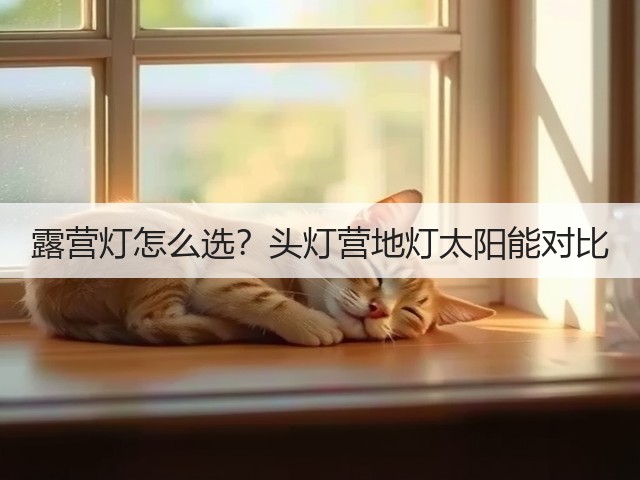 露营灯怎么选?头灯营地灯太阳能对比(图1) 露营灯怎么选?头灯营地灯太阳能对比(图1)
