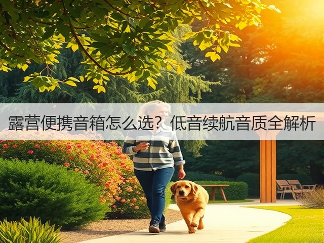 露营便携音箱怎么选?低音续航音质全解析(图3) 露营便携音箱怎么选?低音续航音质全解析(图3)