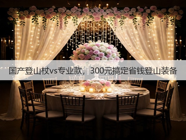 国产登山杖vs专业款,300元搞定省钱登山装备(图1) 国产登山杖vs专业款,300元搞定省钱登山装备(图1)