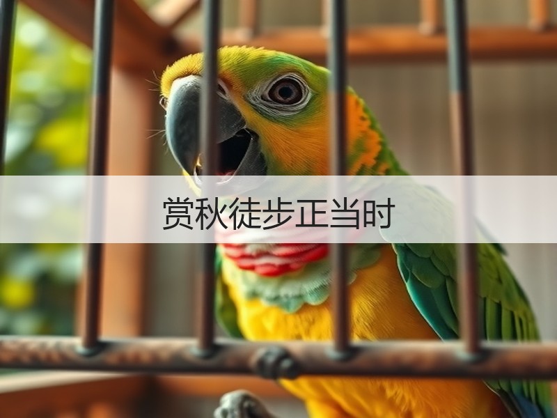 赏秋徒步正当时