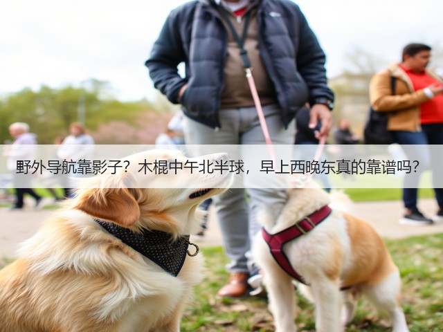 野外导航靠影子?木棍中午北半球,早上西晚东真的靠谱吗?(图1) 野外导航靠影子?木棍中午北半球,早上西晚东真的靠谱吗?(图1)
