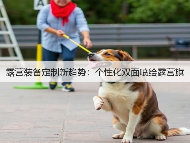 露营装备定制新趋势：个性化双面喷绘露营旗(图3)