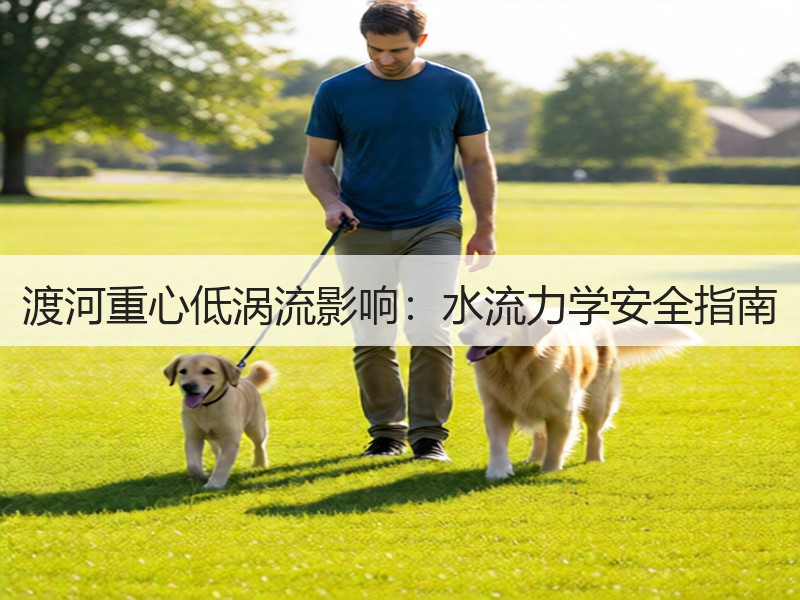 渡河重心低涡流影响：水流力学安全指南