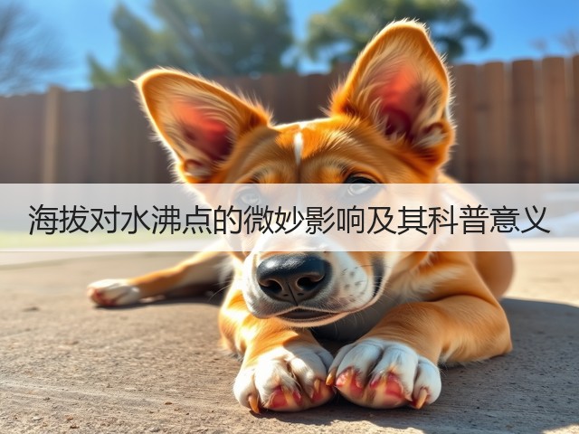 海拔对水沸点的微妙影响及其科普意义(图1) 海拔对水沸点的微妙影响及其科普意义(图1)