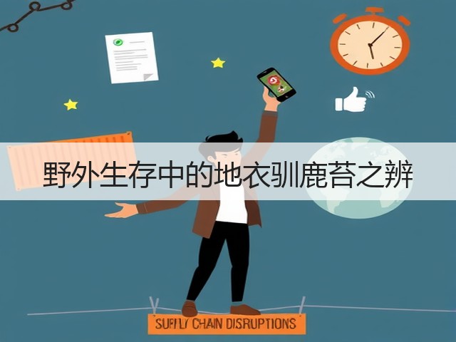 野外生存中的地衣驯鹿苔之辨(图1) 野外生存中的地衣驯鹿苔之辨(图1)