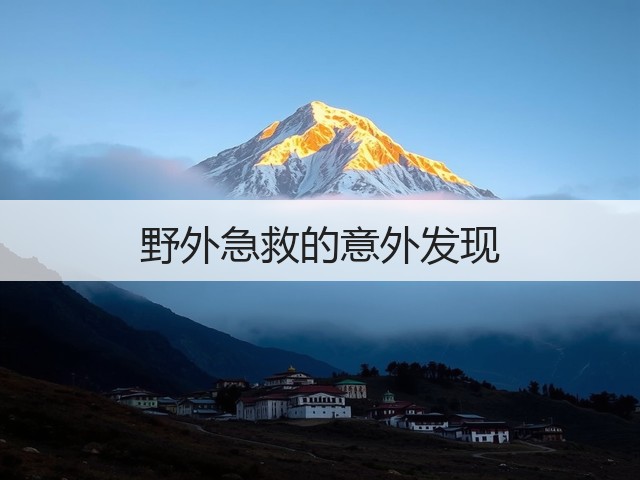 野外急救的意外发现(图2) 野外急救的意外发现(图2)