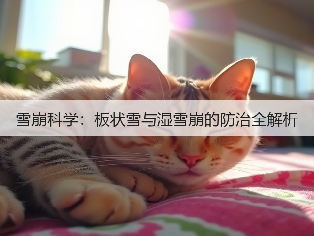 雪崩科学:板状雪与湿雪崩的防治全解析(图3) 雪崩科学:板状雪与湿雪崩的防治全解析(图3)