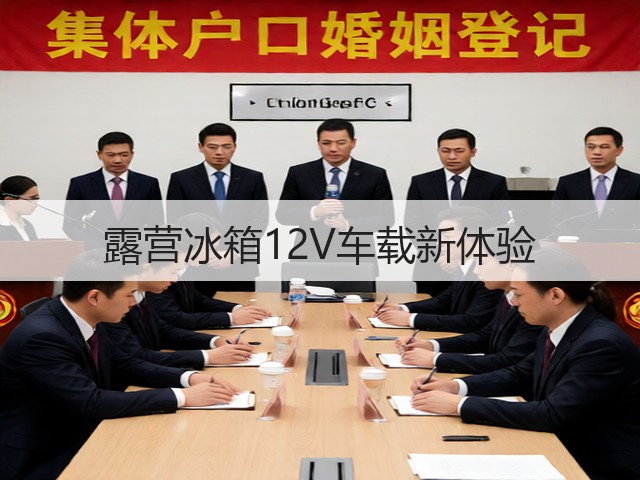 露营冰箱12V车载新体验(图3) 露营冰箱12V车载新体验(图3)