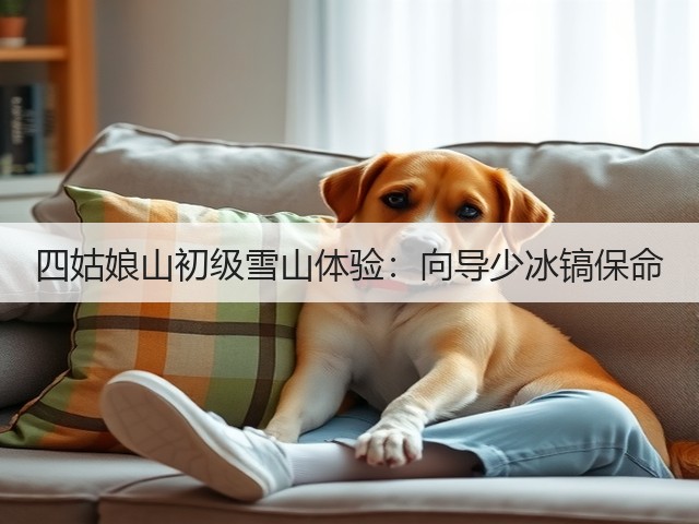 四姑娘山初级雪山体验:向导少冰镐保命(图1) 四姑娘山初级雪山体验:向导少冰镐保命(图1)