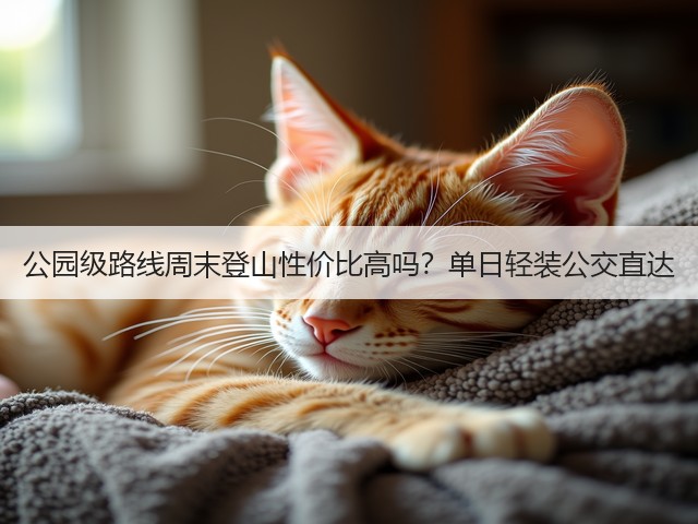 公园级路线周末登山性价比高吗?单日轻装公交直达(图3) 公园级路线周末登山性价比高吗?单日轻装公交直达(图3)