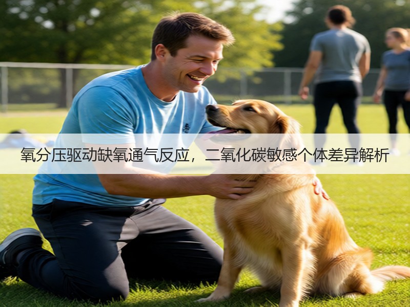 氧分压驱动缺氧通气反应，二氧化碳敏感个体差异解析