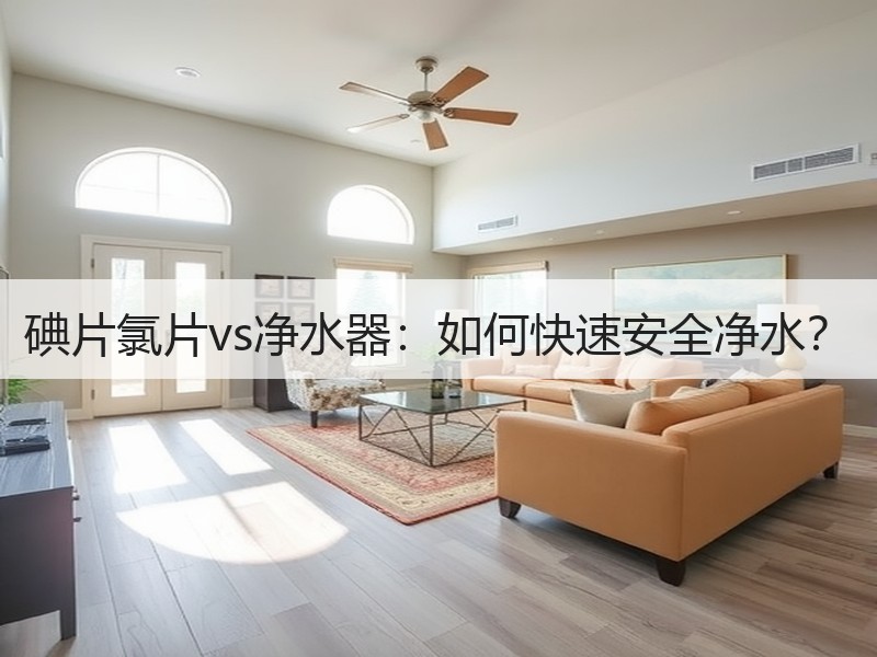 碘片氯片vs净水器：如何快速安全净水？