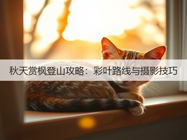 秋天赏枫登山攻略:彩叶路线与摄影技巧(图3) 秋天赏枫登山攻略:彩叶路线与摄影技巧(图3)