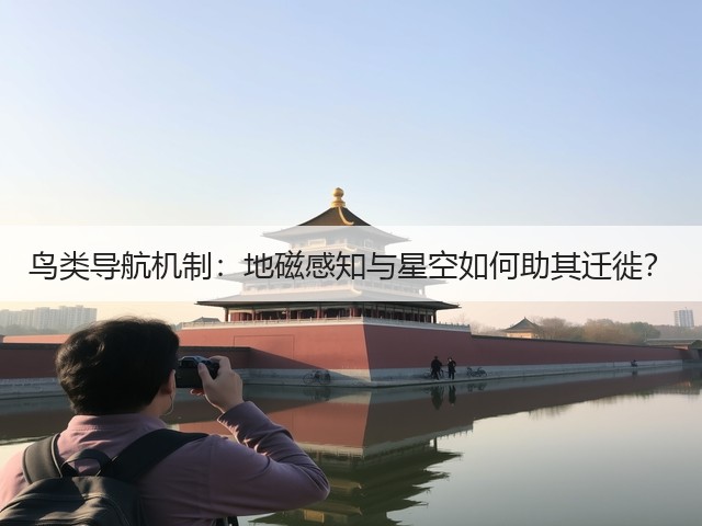 鸟类导航机制:地磁感知与星空如何助其迁徙?(图1) 鸟类导航机制:地磁感知与星空如何助其迁徙?(图1)