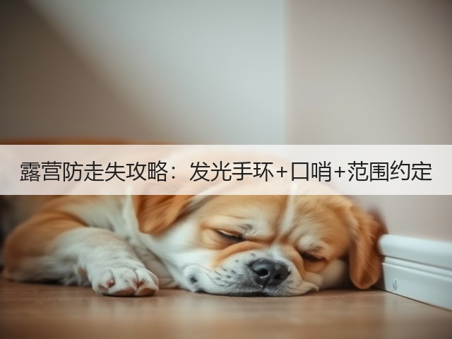 露营防走失攻略:发光手环+口哨+范围约定(图3) 露营防走失攻略:发光手环+口哨+范围约定(图3)