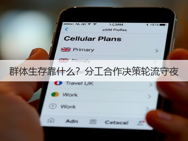 群体生存靠什么?分工合作决策轮流守夜(图2) 群体生存靠什么?分工合作决策轮流守夜(图2)
