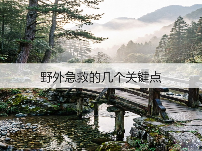 野外急救的几个关键点