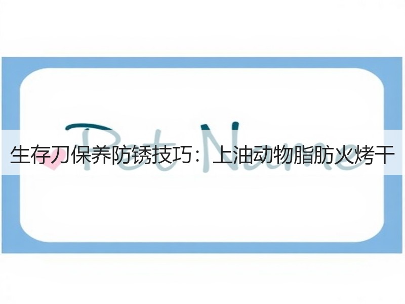生存刀保养防锈技巧：上油动物脂肪火烤干